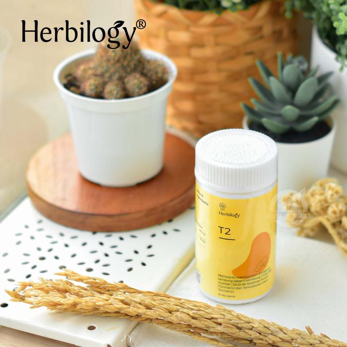 54519600_ab681cab-8575-4499-8f21-21d4d7b12a3f Herbilogy T2 (Turmeric & Java Turmeric) 30 Capsules - Image 3